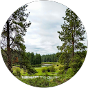 Ethan Evens profile picture