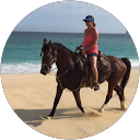 Lisa Sellers profile picture